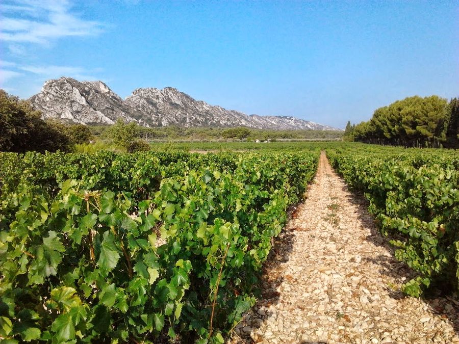 Domaine d’Eole — Eygalières