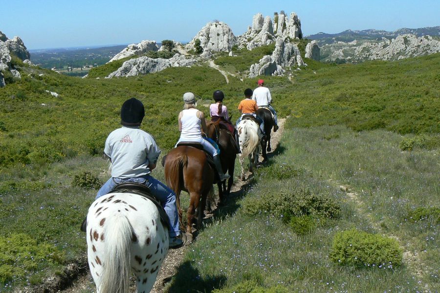 Randonnées à cheval — Maussane-les-Alpilles