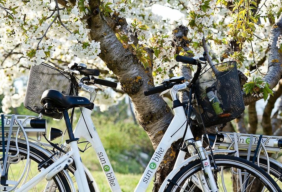 Sun-E-Bike — Saint-Rémy-de-Provence